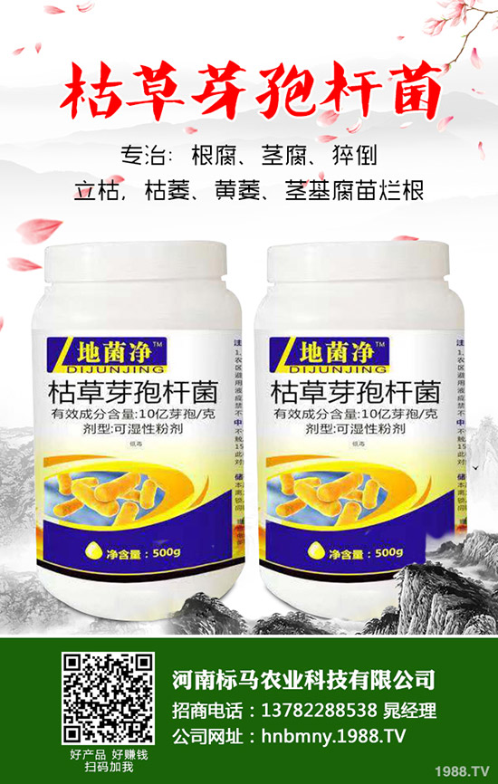 苦瓜怎么施肥，苦瓜施肥要點(diǎn)有哪些？