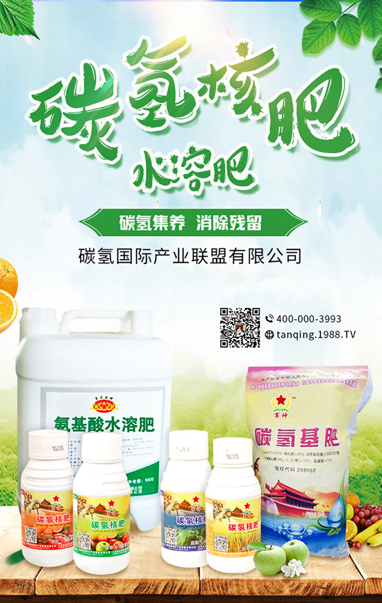     5月可以種什么菜？5月蔬菜種植指南及防注意事項！