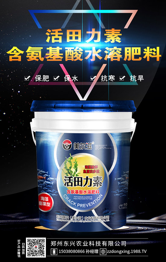 牛大力的種植的前景怎樣，牛大力種植技術(shù)及苗期管理！