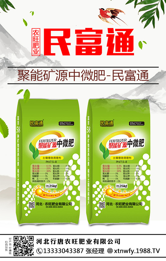 生姜重茬種植危害大，到底是如何引起的？該與哪些作物輪作呢？