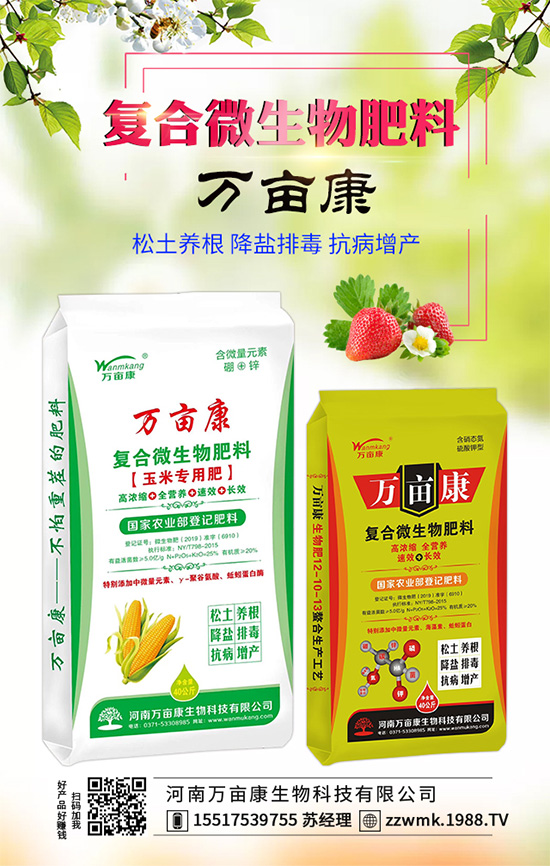 白掌不開花是什么原因？白掌不開花解決措施！