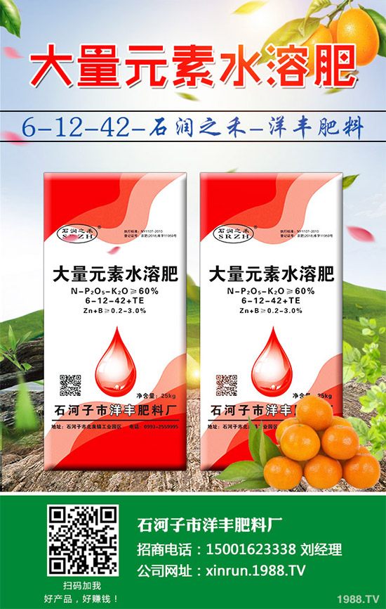黃瓜嫁接好在哪里？有何優(yōu)勢(shì)？黃瓜嫁接的流程及注意事項(xiàng)