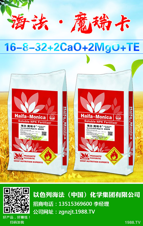     葡萄樹勢旺長發(fā)生原因有哪些？該怎么辦？葡萄的夏季控旺技術(shù)！