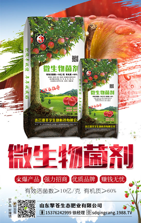 草莓發(fā)生肥害了怎么辦？如何避免？草莓肥害原因及補(bǔ)救措施！