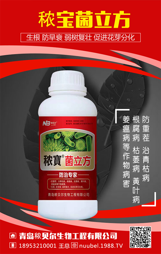 葫蘆怎么播種方法？葫蘆的播種方法及生長過程！