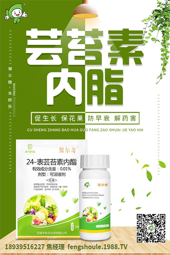 ��ɺ��ԓ��ô�Nֲ����ηNֲ�ܸ߮a(ch��n)����ɺ���߮a(ch��n)�Nֲ���g(sh��)