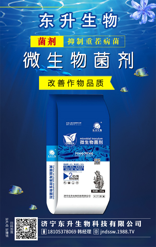 白掌的花語是什么？水培白掌的的養(yǎng)護(hù)方法！