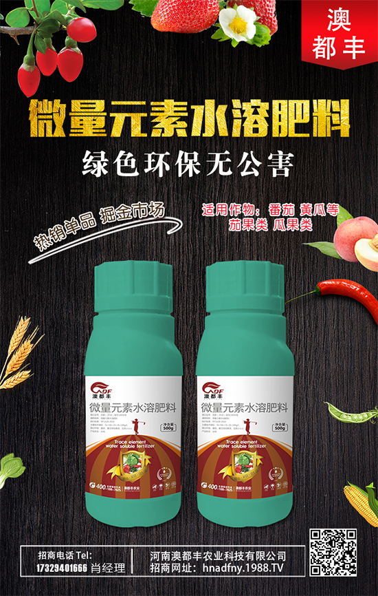 甜瓜什么時間種植好？甜瓜種植技術(shù)要點！