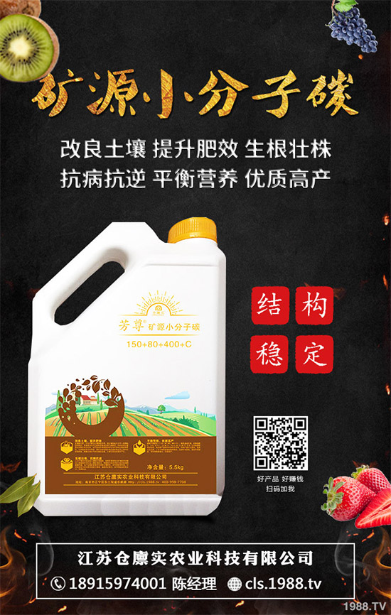 ����⛷ʃr(ji��)���Ј������܈�(b��o)