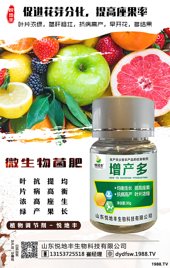 冰菜該如何栽培？怎樣種植能高產(chǎn)？冰菜的高產(chǎn)栽培技術(shù)