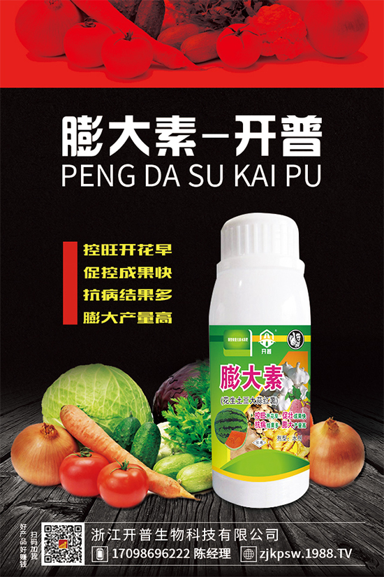 黃精種植難在哪里?為什么大家都說不好種植?快來看看吧!