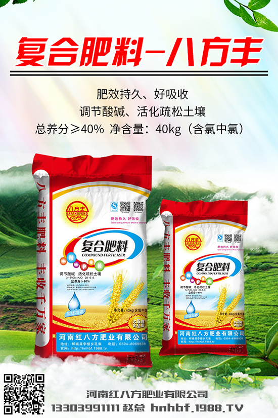  川貝母多少錢一克？川貝母的種植前景及種植技術(shù)！