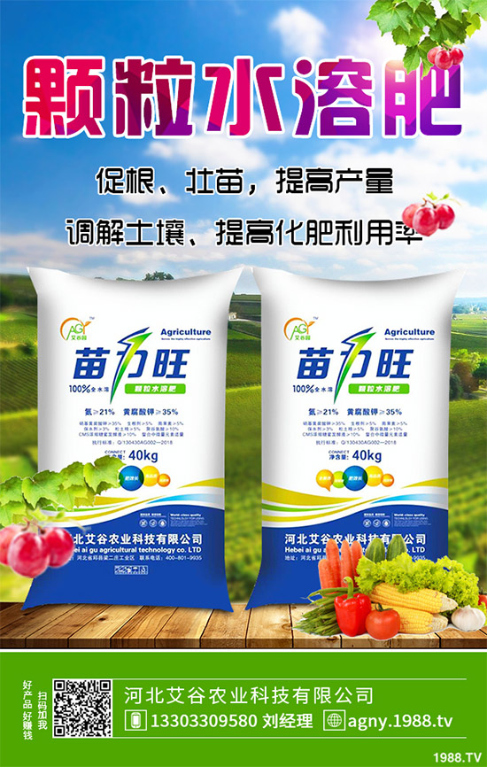 黑番茄有哪些營養(yǎng)價值？功效作用有哪些？黑番茄的功效作用及種植前景