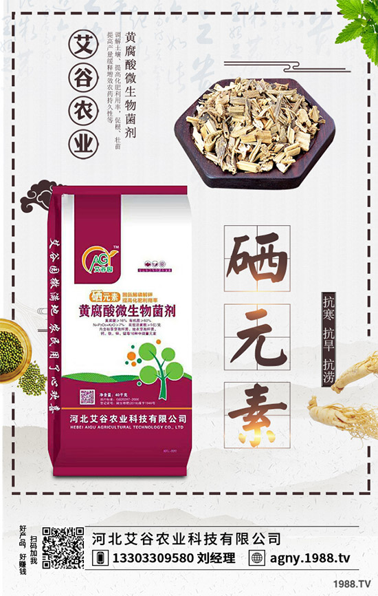 黑番茄該怎樣種植？如何管理才能獲得高產(chǎn)？黑番茄高產(chǎn)種植管理技術(shù)！
