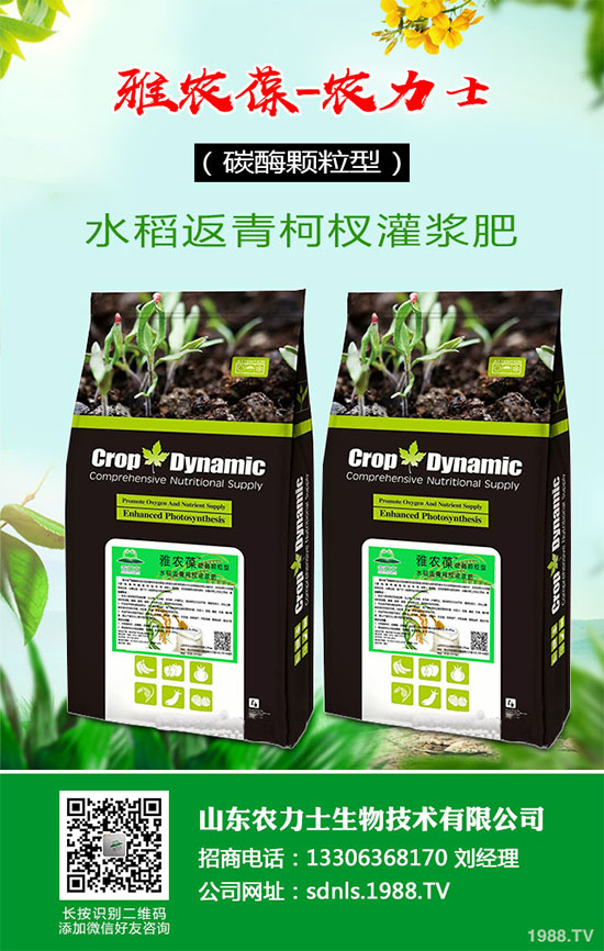 1馬鈴薯該如何切塊種植？馬鈴薯切塊種植技術(shù)及注意事項(xiàng)