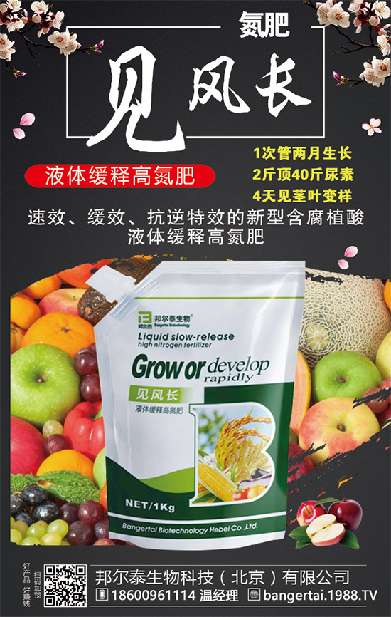 金錢(qián)草有哪些生長(zhǎng)習(xí)性？金錢(qián)草怎么種植？