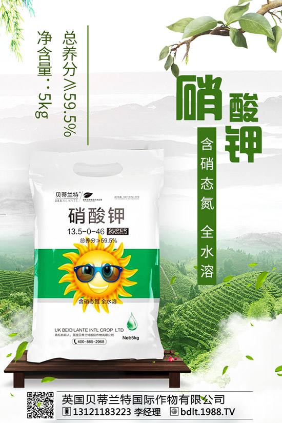 番茄空心果是怎么回事？如何做可以避免番茄空心？