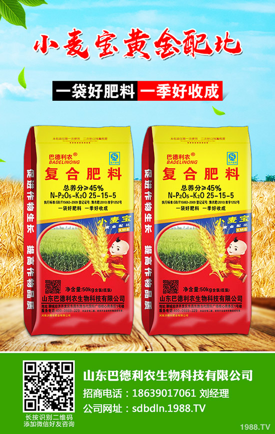     棉花如何種植？播種時(shí)期及播種密度！如何科學(xué)管理？棉花前中后期管理方案！