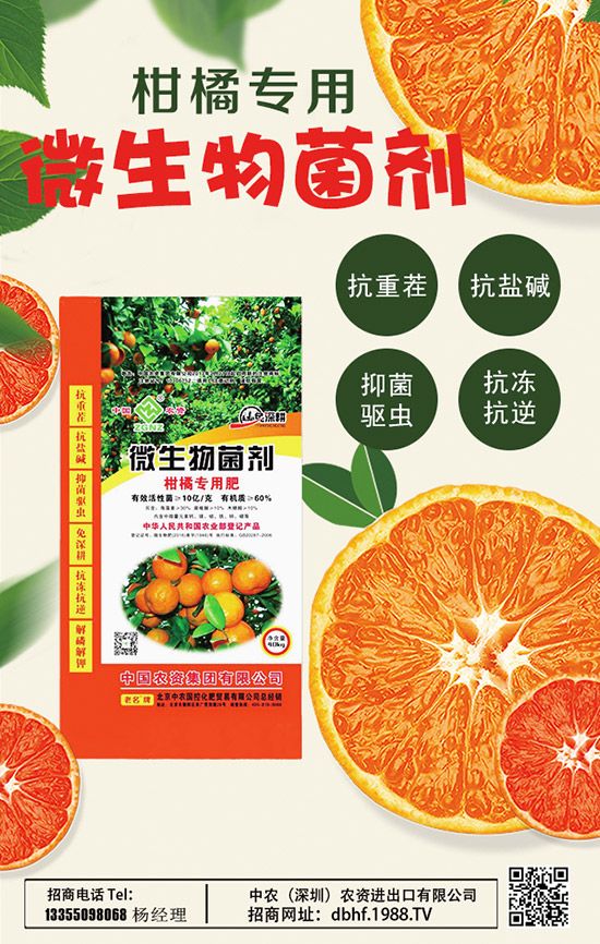     2020山藥價(jià)格多少錢一斤？種植前景如何？山藥種植高產(chǎn)管理技術(shù)！