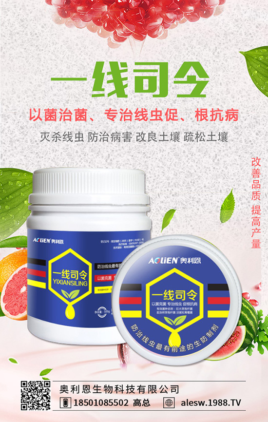 金錢草怎么養(yǎng)？金錢草養(yǎng)殖方法有哪些？