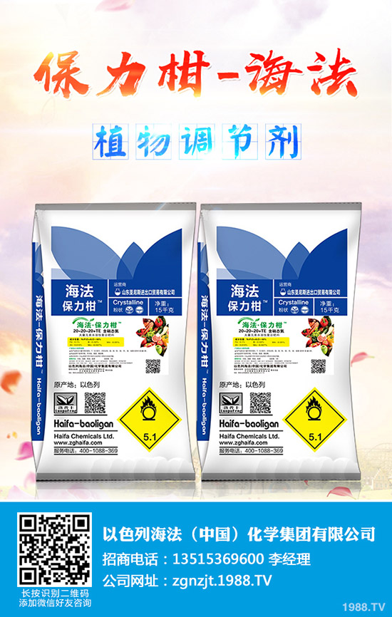     玉木耳種植賺錢么？玉木耳如何栽培？玉木耳栽培技術(shù)及種植效益成本！