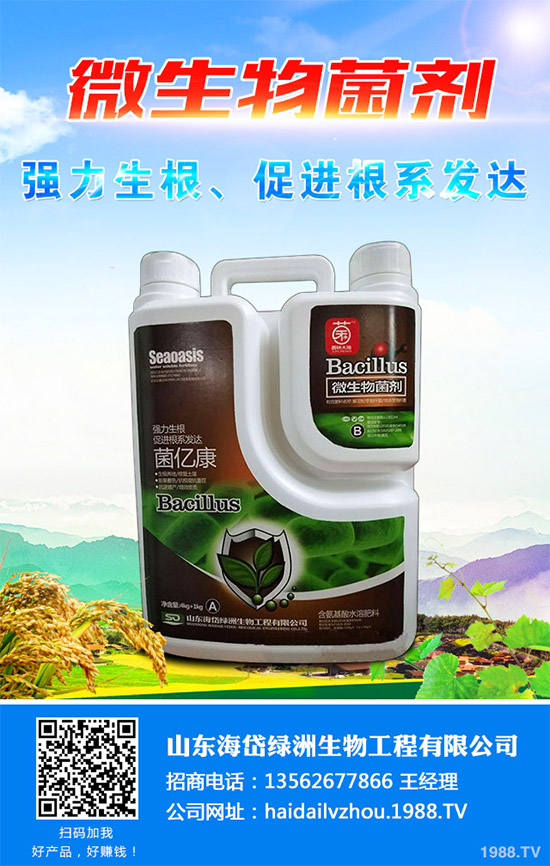 茼蒿該施什么肥料？如何施肥？聊聊茼蒿施肥那些事兒！