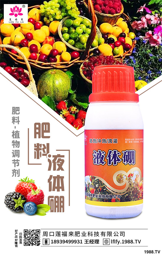 決明子有哪些神奇功效？種植決明子能掙錢嗎？2020決明子種植前景分析