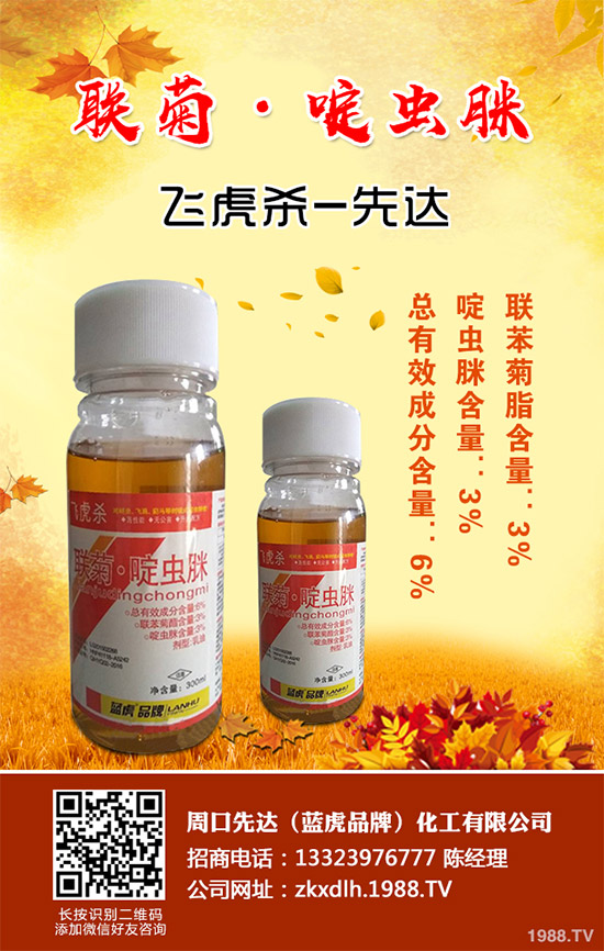 ������(sh��)�����Ƴ��¿�V�V���x��Elevest�����x��������+(li��n)��������