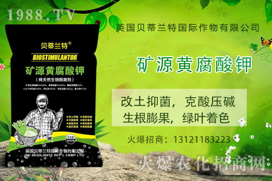 ���ܹ���ô�N�����ܹϷNֲ��(y��ng)ԓע����Щ���(xi��ng)��