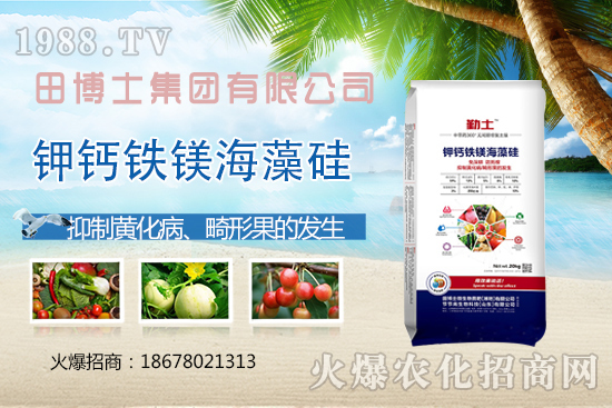 花生重茬會(huì)產(chǎn)生哪些影響？如何解決花生重茬問題？