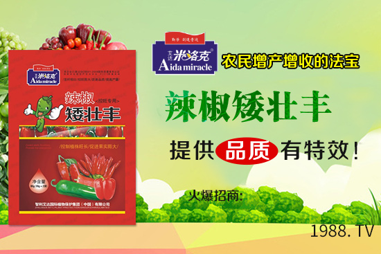 辣椒葉子卷曲由什么原因?qū)е?？辣椒葉子卷曲防治措施!