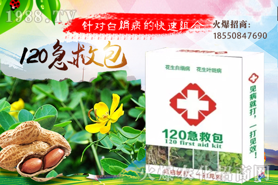黃瓜嫁接有什么好處？如何培育黃瓜嫁接苗？