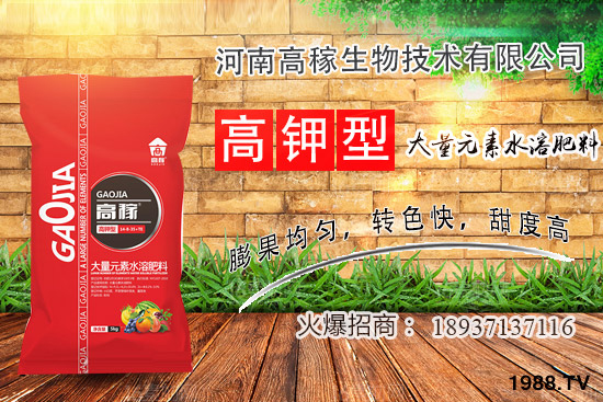 小香蔥種植環(huán)境有什么要求？夏季種植小香蔥的技巧！