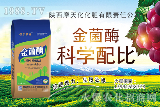 種一畝蘋(píng)果的成本是多少，有多少利潤(rùn)？蘋(píng)果種植技術(shù)與管理！