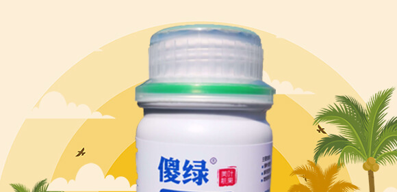 ɵ��-���S_02