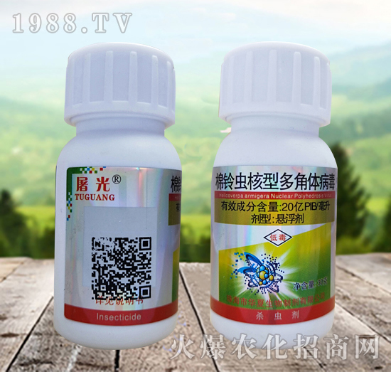 棉鈴蟲(chóng)核型多角體病毒殺什么蟲(chóng)?效果怎么樣?怎么選擇?