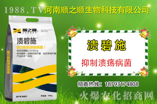 柑橘潰瘍病危害一年比一年嚴(yán)重，柑橘潰瘍病如何防控？