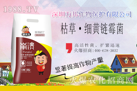 柑橘潰瘍病危害一年比一年嚴(yán)重，柑橘潰瘍病如何防控？