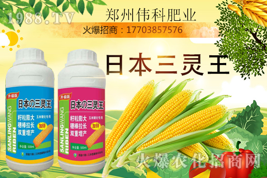 玉米控旺幾次好，玉米控旺時間及玉米控旺產(chǎn)品選擇！