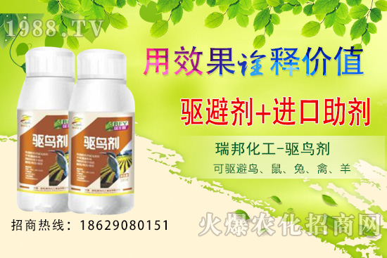 夏季果園鳥類猖獗，以下方法超乎你想象！果園驅(qū)鳥攻略！