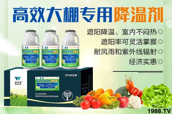 高溫對黃瓜有什么危害？大棚黃瓜降溫措施怎么做？