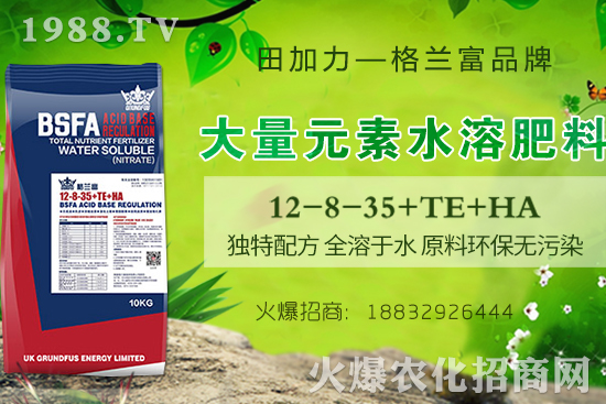 茄果類蔬菜苗期病蟲(chóng)害防治