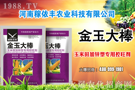 玉米施肥尿素和復(fù)合肥哪個(gè)好?玉米施肥注意事項(xiàng)有哪些?