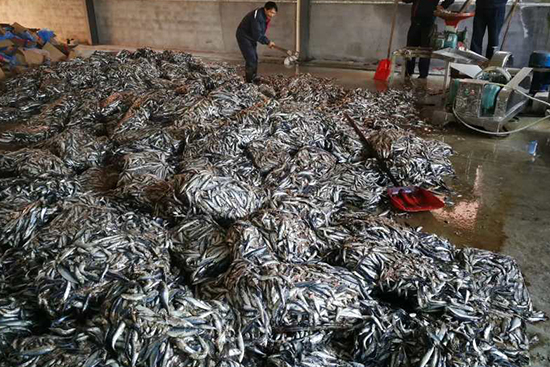 �~(y��)����ԭ�Ϲ���(y��ng)��