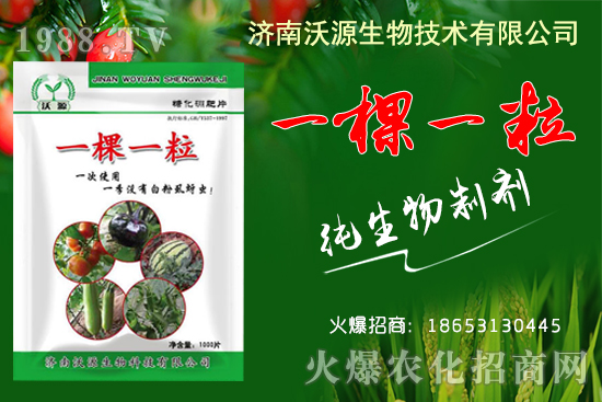     蚜蟲、白粉虱、薊馬怎么防？沃源生物“一棵一?！睔⒊x卵，藥效！