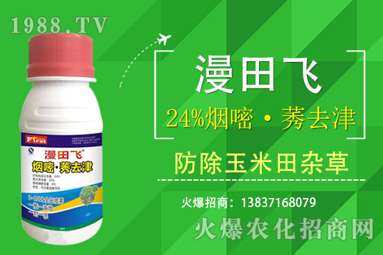 24%���ס�ݬȥ�����Ч���Æ���24%���ס�ݬȥ����ʲô���c��