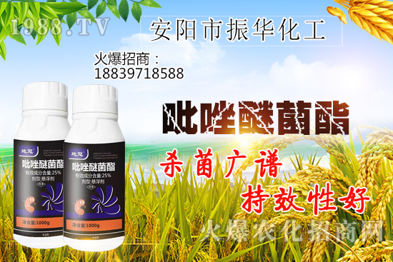 黃瓜白粉病危害有哪些，黃瓜白粉病怎么治？該打什么農(nóng)藥？