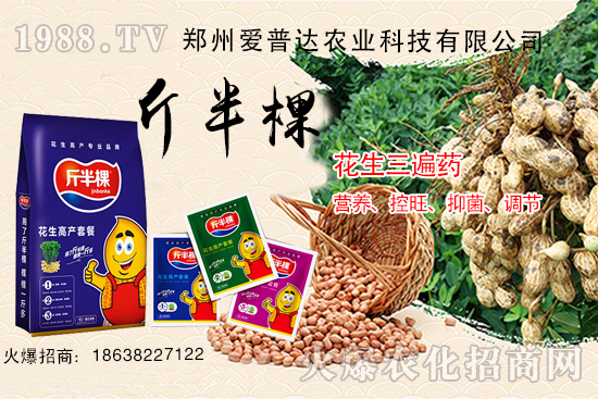 花生三遍藥什么時(shí)期使用？花生三遍藥有哪些作用？