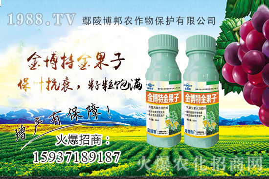 ������˥�p�a(ch��n)��(y��n)��ԓզ�k��������˥ԭ�����Nֲ����α�����