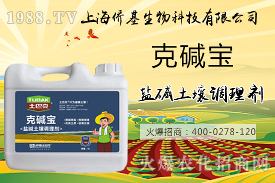 土壤鹽堿危害大,“克堿寶”消除鹽堿,還您一片沃土!